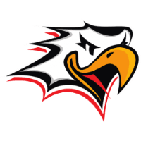 Ваасан Спорт logo