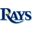 Tampa Bay Rays logo