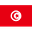 Tunisia logo