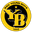 Young Boys logo