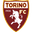 Torino logo