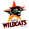 Перт logo
