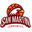 San Martin logo