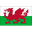Wales logo