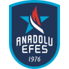 Anadolu Efes logo