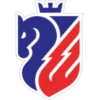 FC Botosani logo