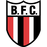 Botafogo SP logo
