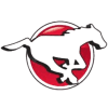 Calgary Stampeders logo
