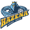 Frydek-Mistek logo