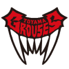 Toyama logo