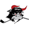 Rodovre Mighty Bulls logo