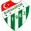 Bursaspor logo