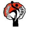 Nava logo