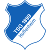 Hoffenheim logo