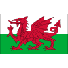 Wales U19 logo