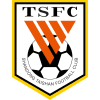 Shandong Taishan logo