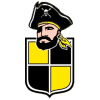 Coquimbo logo