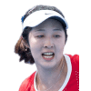 Zheng W. logo