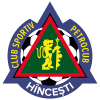 Петрокуб logo