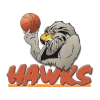 Bay Hawks logo