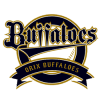 Orix Buffaloes logo