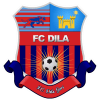 Dila Gori logo