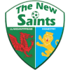 TNS (Wal) logo