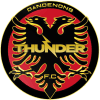 Dandenong Thunder logo
