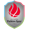 Petkim Spor logo