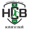 Karvina logo