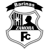 Zamora logo