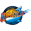 Sichuan logo