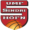 Синдри logo