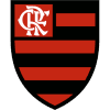 Фламенго logo